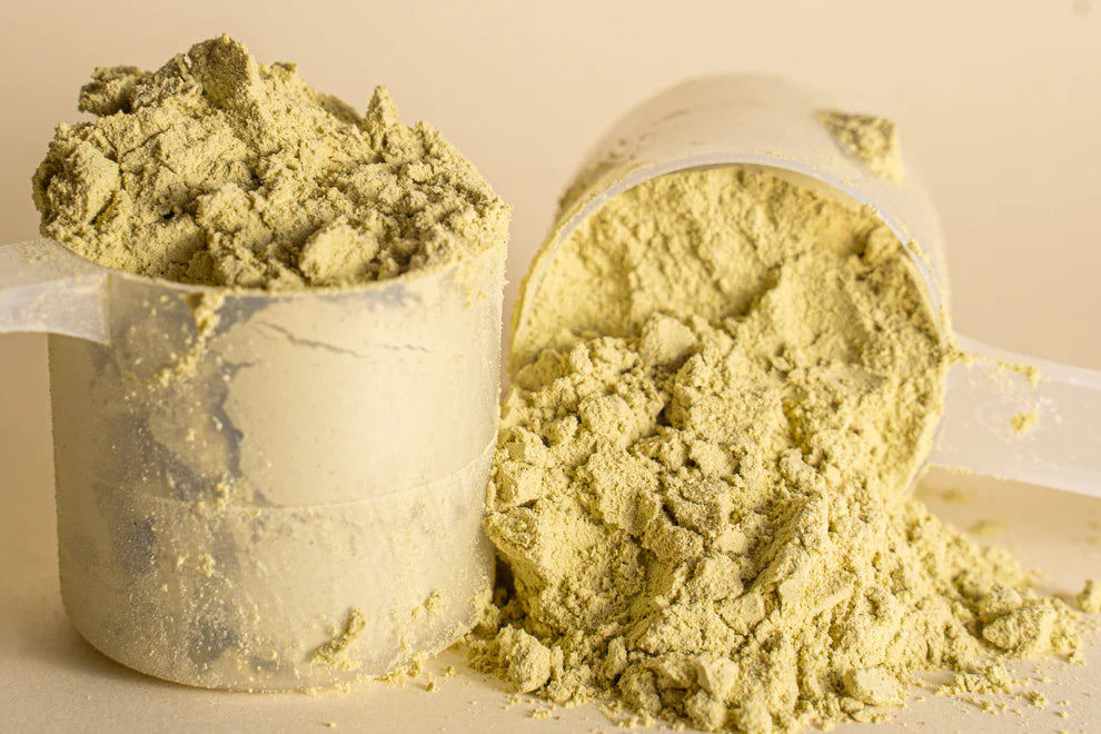 Habits Protein - Matcha Vanilla